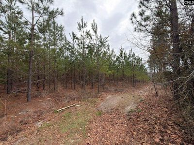 BFF II 3 JC Barefoot Road, Patrick, SC 29854