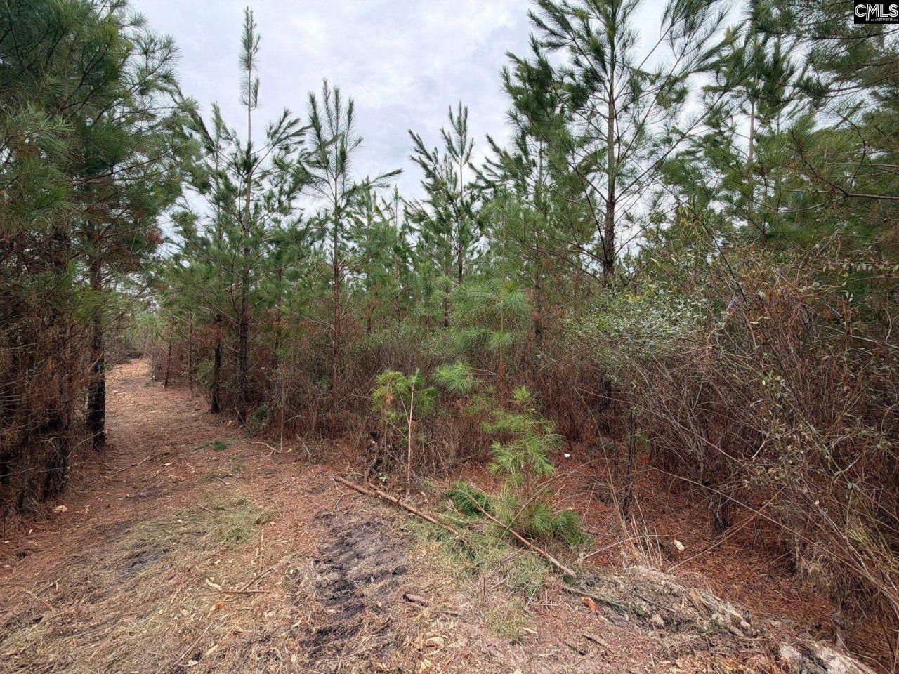 Bff II 3 Jc Barefoot Road Photo 10