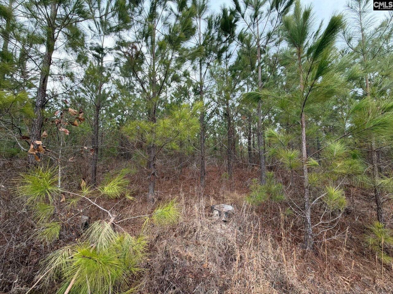 Bff II 3 Jc Barefoot Road Photo 11