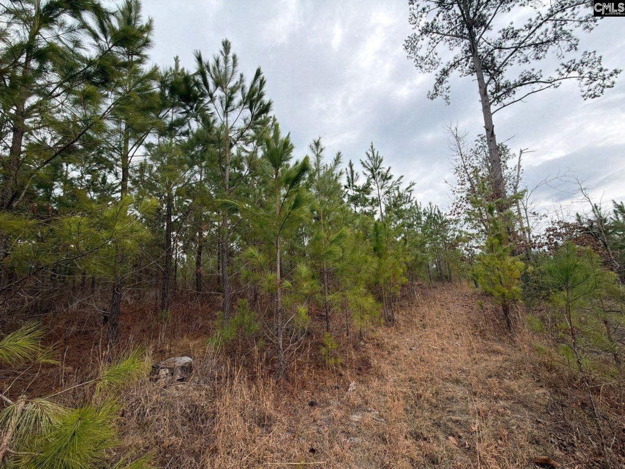 Bff II 3 Jc Barefoot Road Photo 12