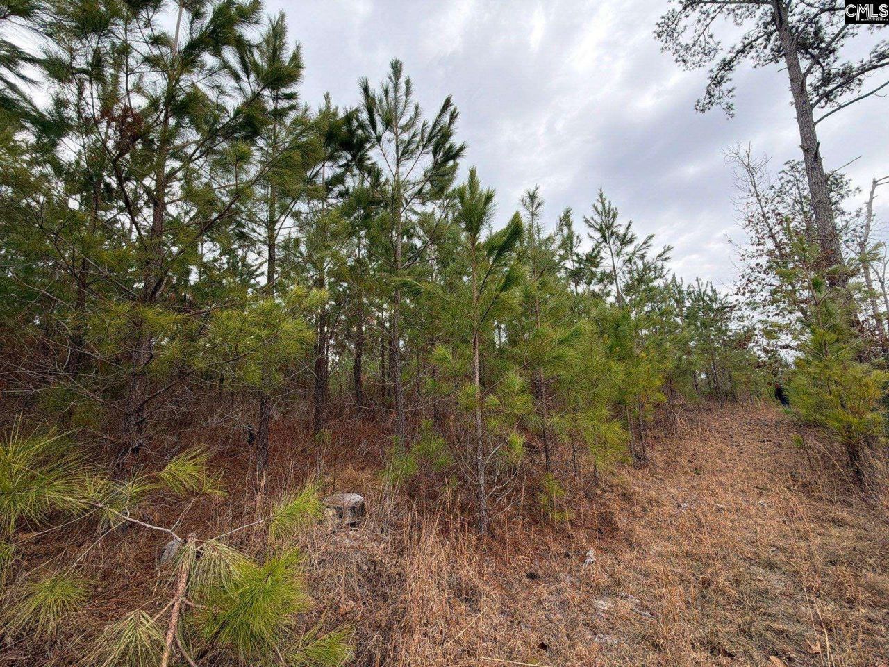 Bff II 3 Jc Barefoot Road Photo 13