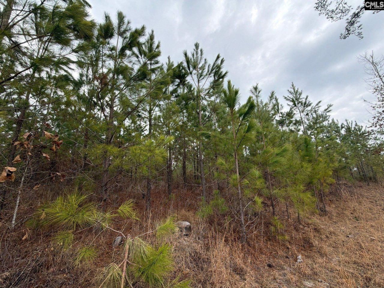 Bff II 3 Jc Barefoot Road Photo 14