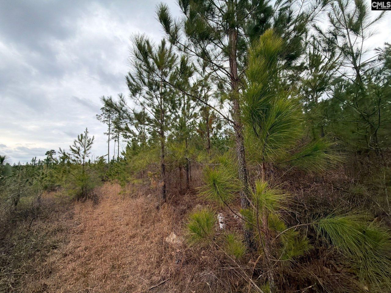 Bff II 3 Jc Barefoot Road Photo 15