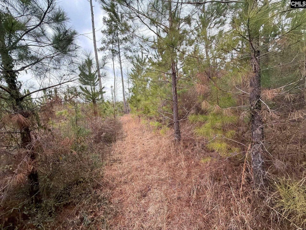 Bff II 3 Jc Barefoot Road Photo 16