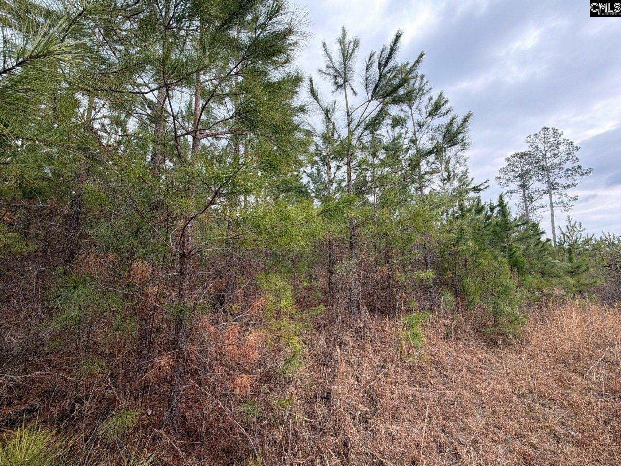 Bff II 3 Jc Barefoot Road Photo 17