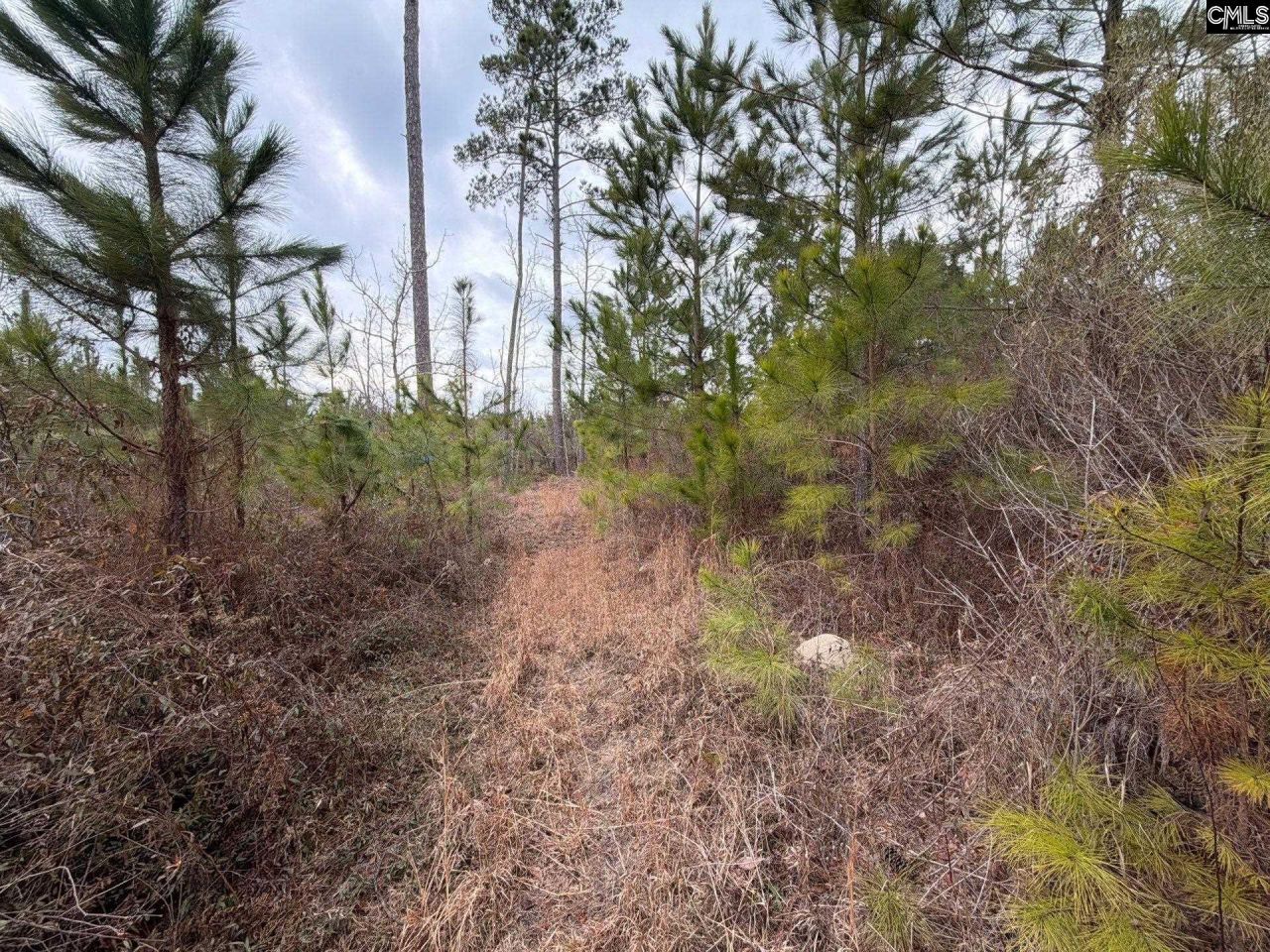 Bff II 3 Jc Barefoot Road Photo 18