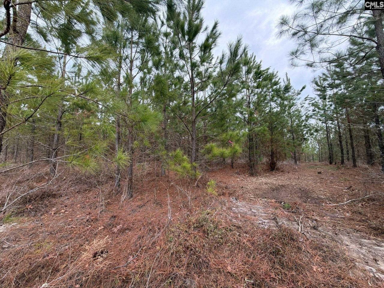 Bff II 3 Jc Barefoot Road Photo 19