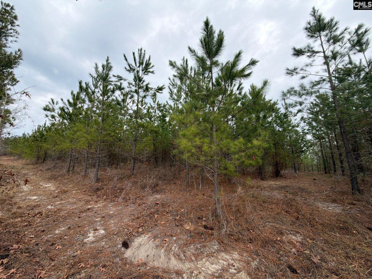 Bff II 3 Jc Barefoot Road Photo 20