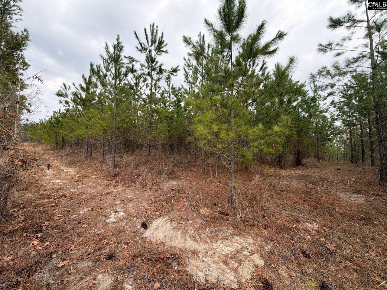 Bff II 3 Jc Barefoot Road Photo 21