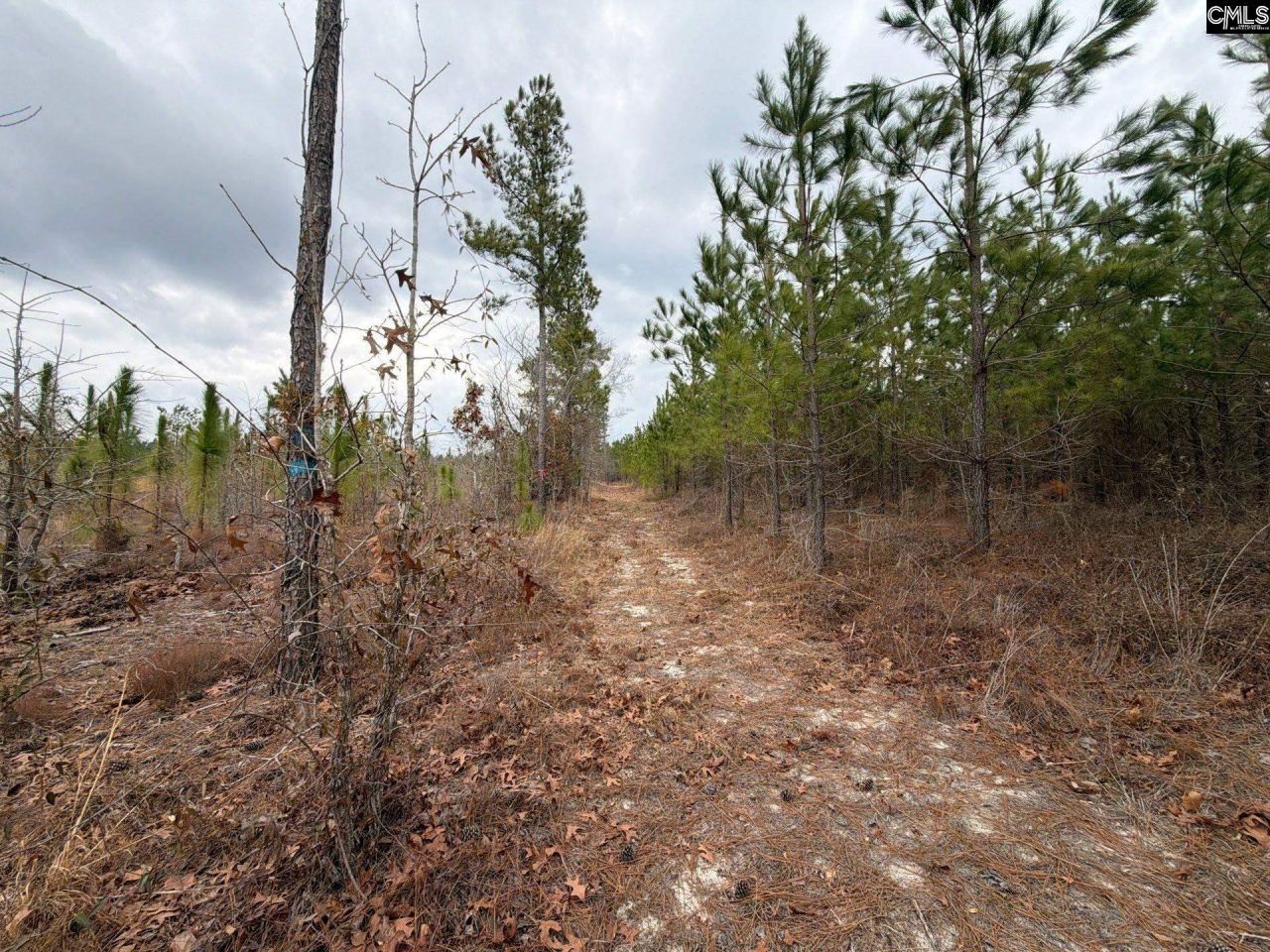 Bff II 3 Jc Barefoot Road Photo 22