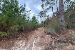 Bff II 3 Jc Barefoot Road photo 4