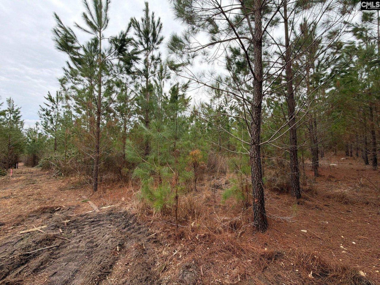 Bff II 3 Jc Barefoot Road Photo 5