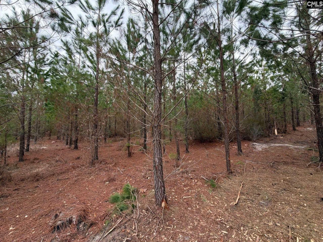 Bff II 3 Jc Barefoot Road Photo 6