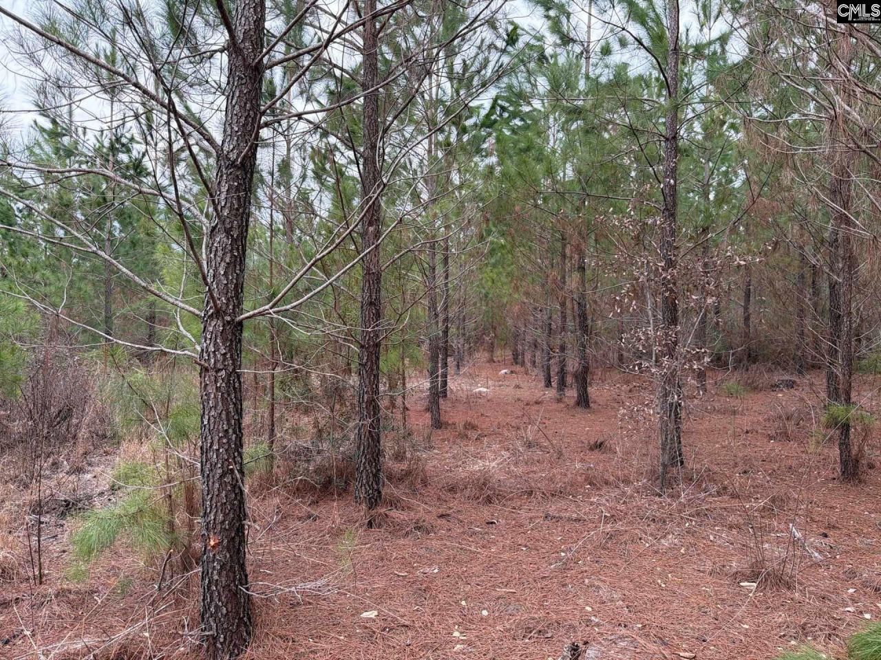 Bff II 3 Jc Barefoot Road Photo 7