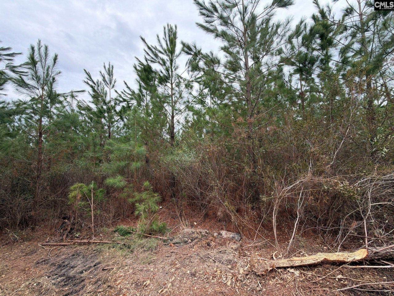 Bff II 3 Jc Barefoot Road Photo 8