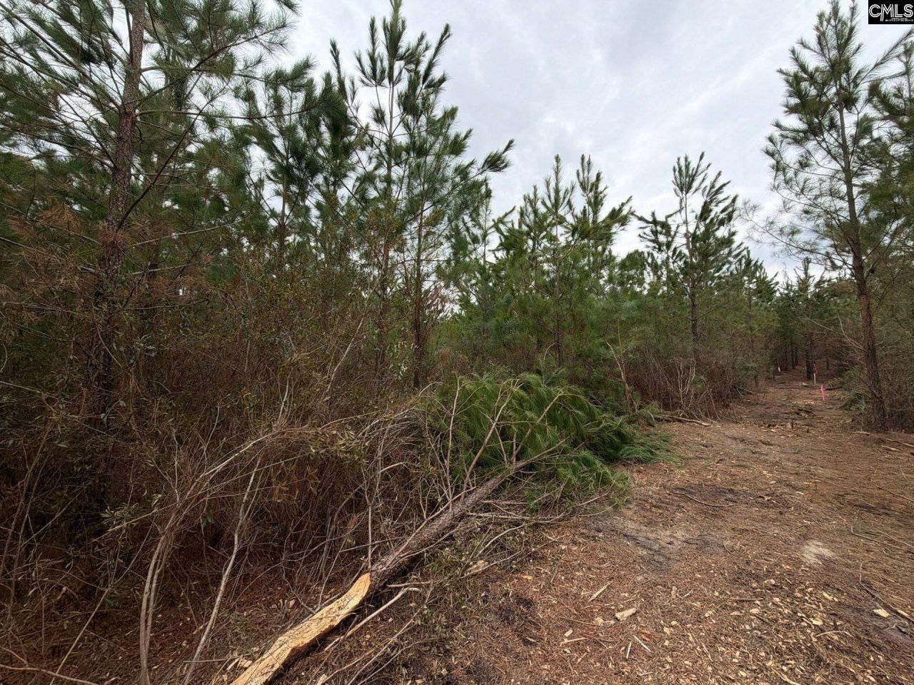 Bff II 3 Jc Barefoot Road Photo 9