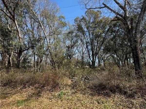 0 Hill-N-Dale Drive, Silverhill, AL 36576