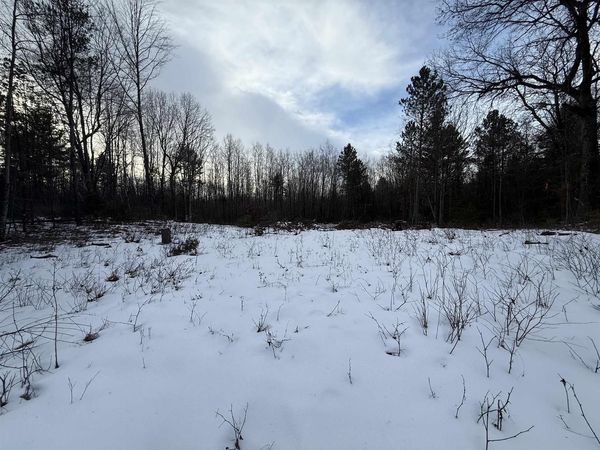 W1561 HAWKS NEST TRAIL, Keshena, WI 54135