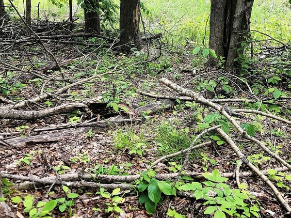 Lot 58 Lance Lake Road, Wolverine, MI 49799