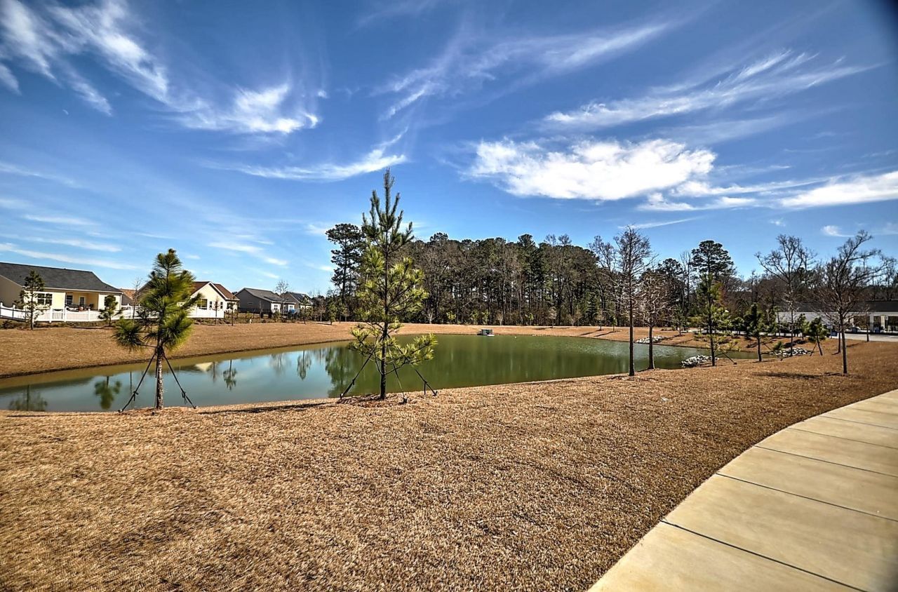 1122 Blueback Herring Way  Photo 7