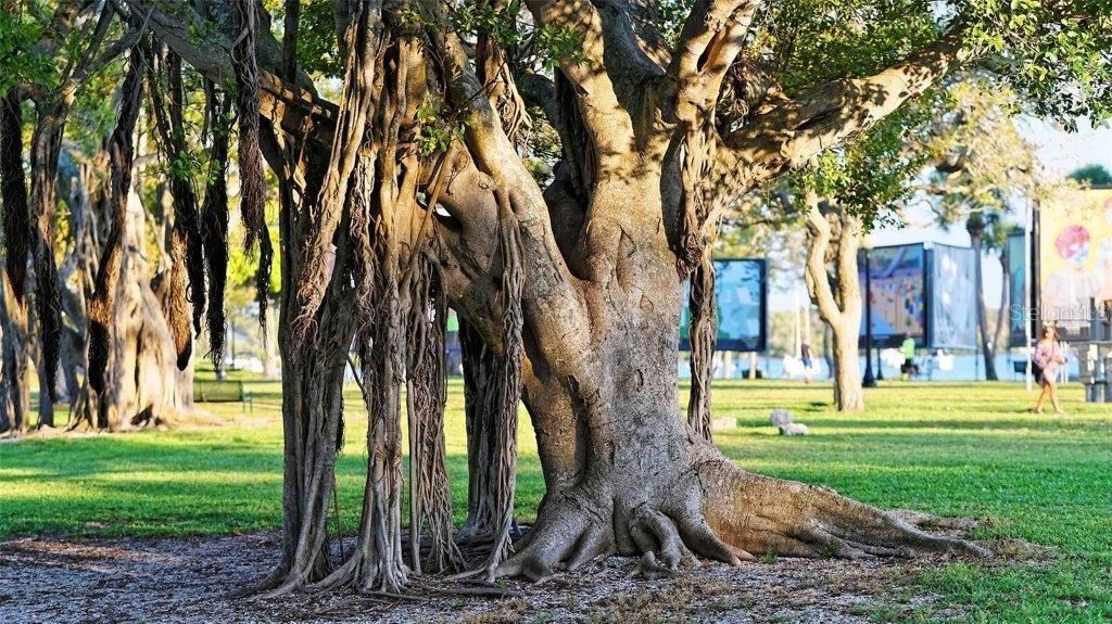 650 Golden Gate Point, Unit 403, Sarasota, FL 34236 Photo