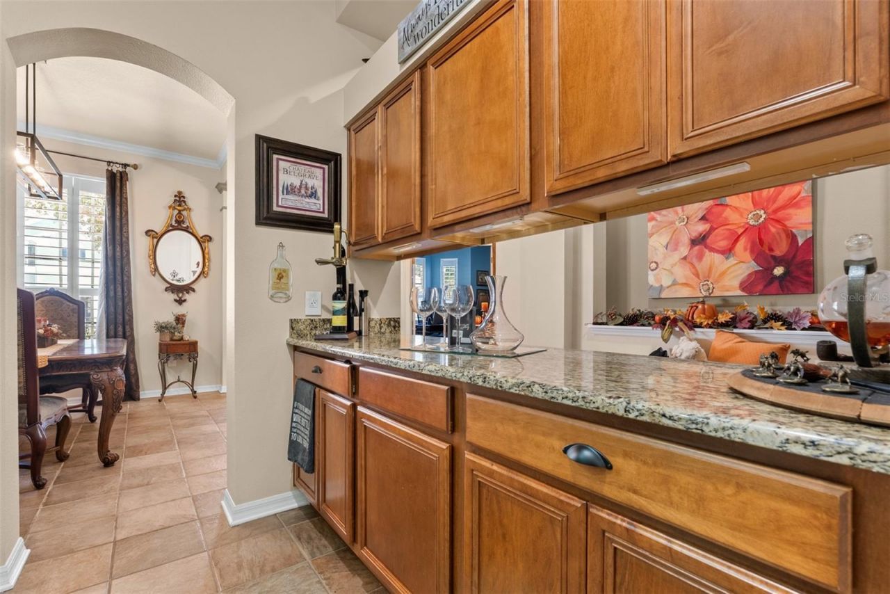 21417 Cypress Tree Court , Land O Lakes, FL 34637 Photo