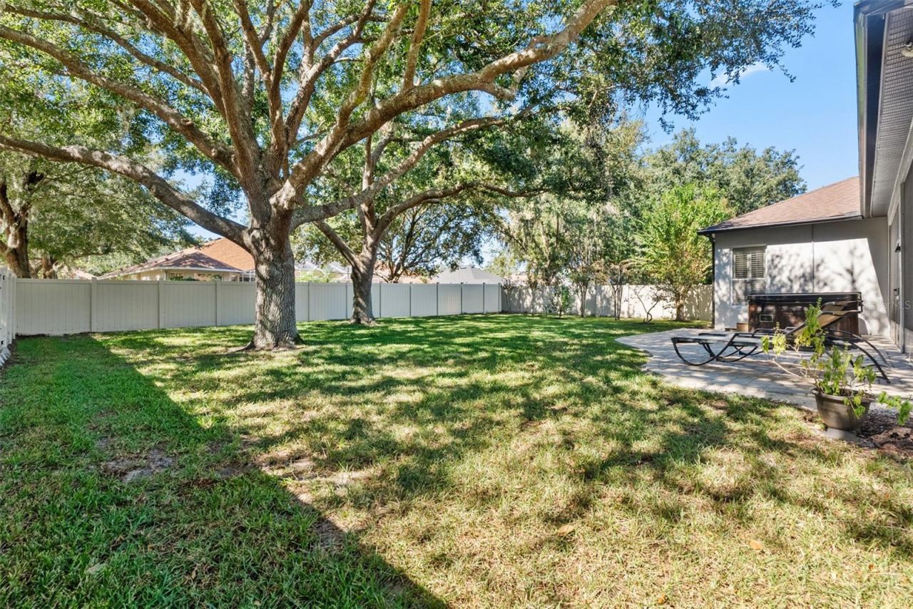 21417 Cypress Tree Court , Land O Lakes, FL 34637 Photo