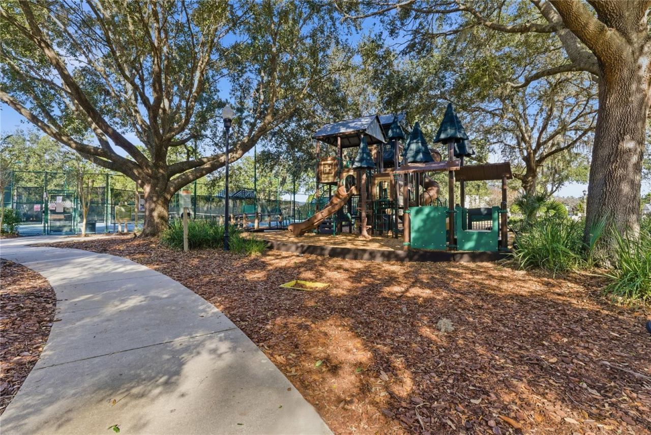 21417 Cypress Tree Court , Land O Lakes, FL 34637 Photo