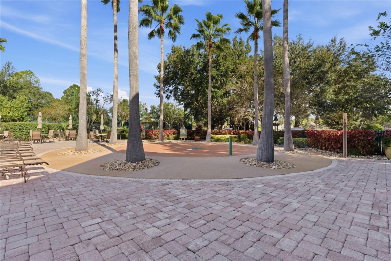 21417 Cypress Tree Court , Land O Lakes, FL 34637 Photo