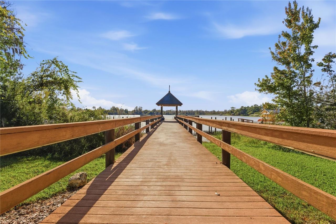 21417 Cypress Tree Court , Land O Lakes, FL 34637 Photo