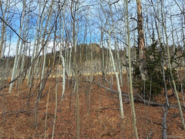 503 Sugar Loaf Lane , Jefferson, CO 80456