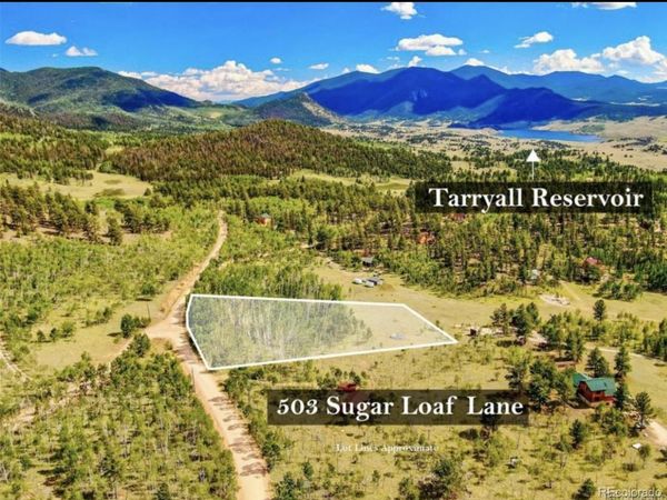 503 Sugar Loaf Lane, Jefferson, CO 80456