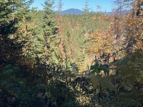 TBD Glacier Drive, St. Maries, ID 83861