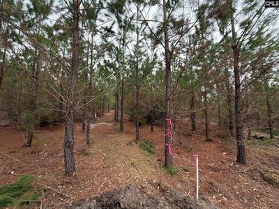 BFF II 4 JC Barefoot Road, Patrick, SC 29854