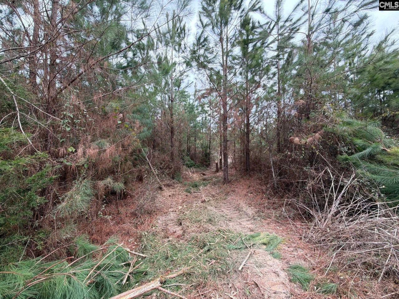 Bff II 4 Jc Barefoot Road Photo 15