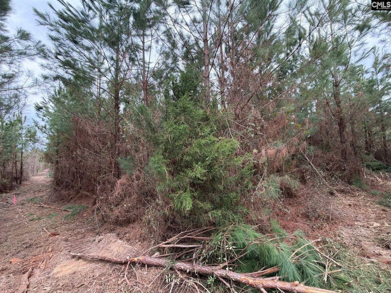 Bff II 4 Jc Barefoot Road Photo 16