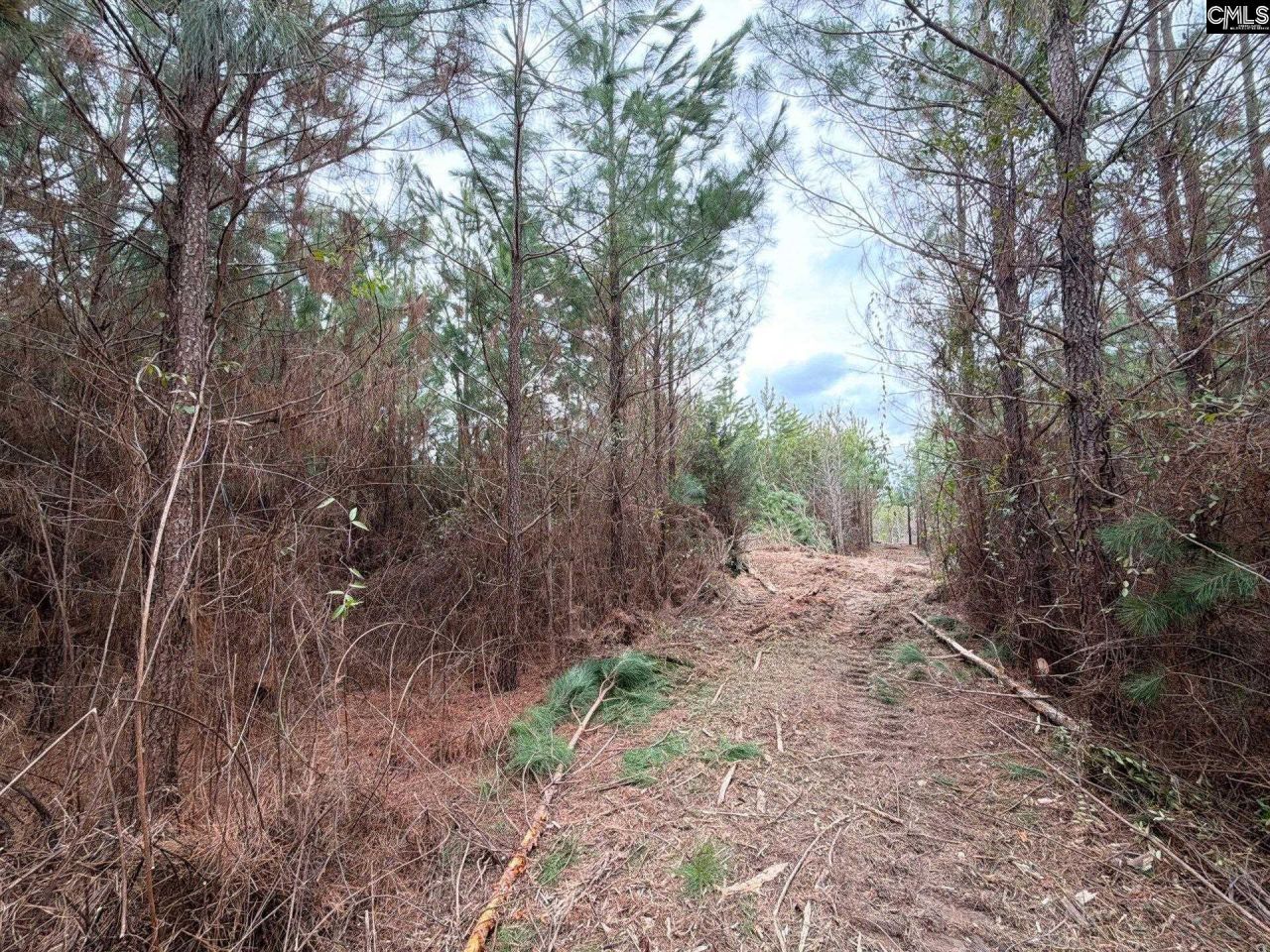 Bff II 4 Jc Barefoot Road Photo 17