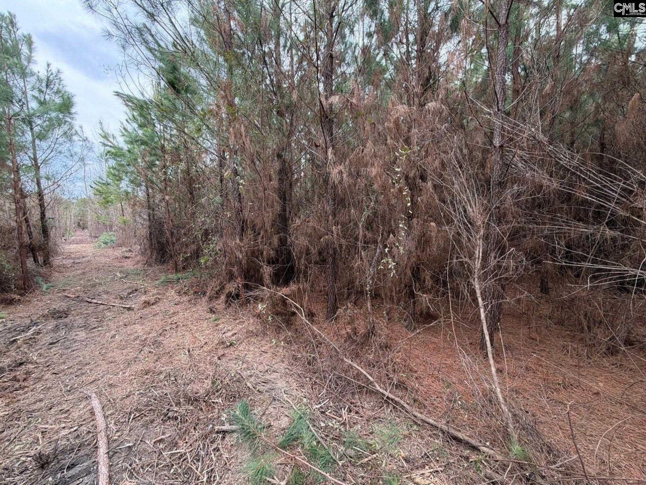 Bff II 4 Jc Barefoot Road Photo 18