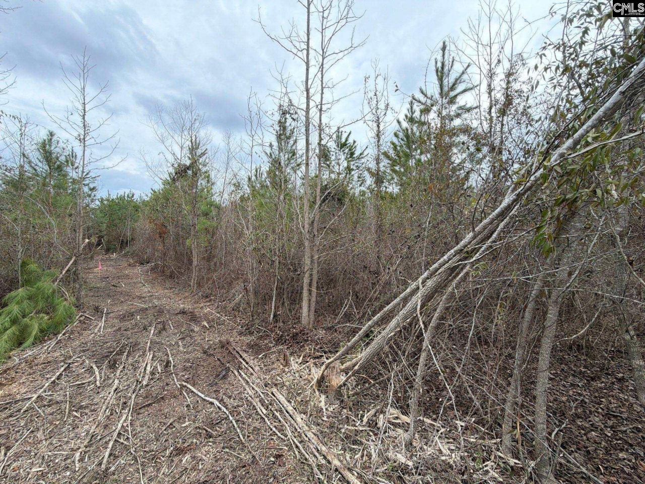 Bff II 4 Jc Barefoot Road Photo 19