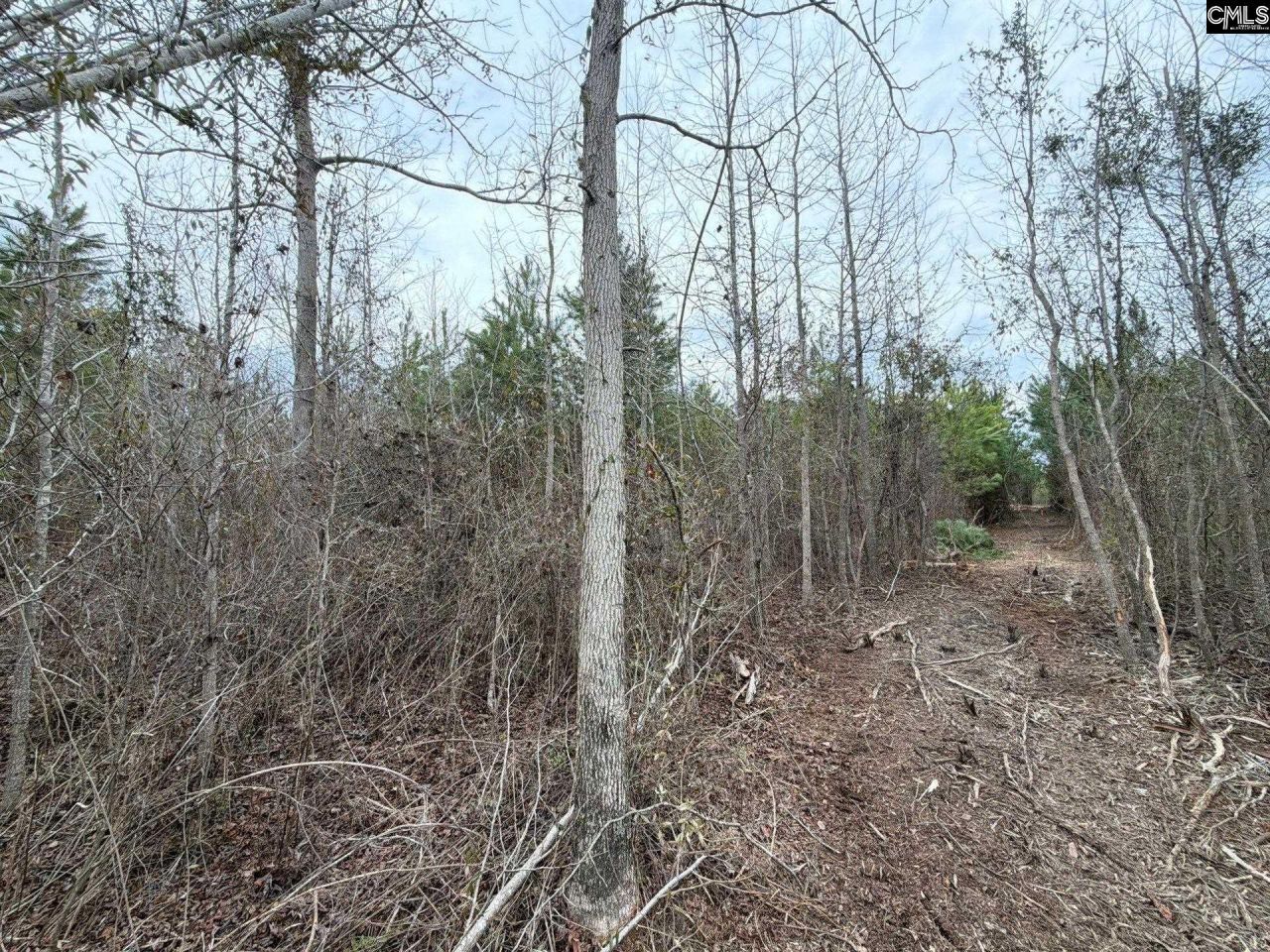 Bff II 4 Jc Barefoot Road Photo 20