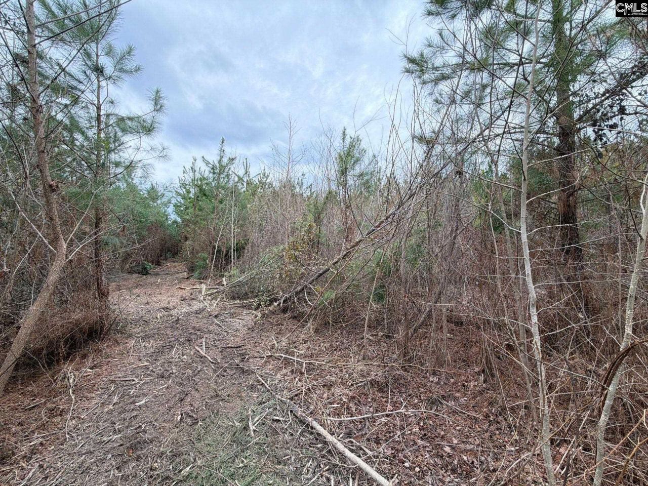 Bff II 4 Jc Barefoot Road Photo 21