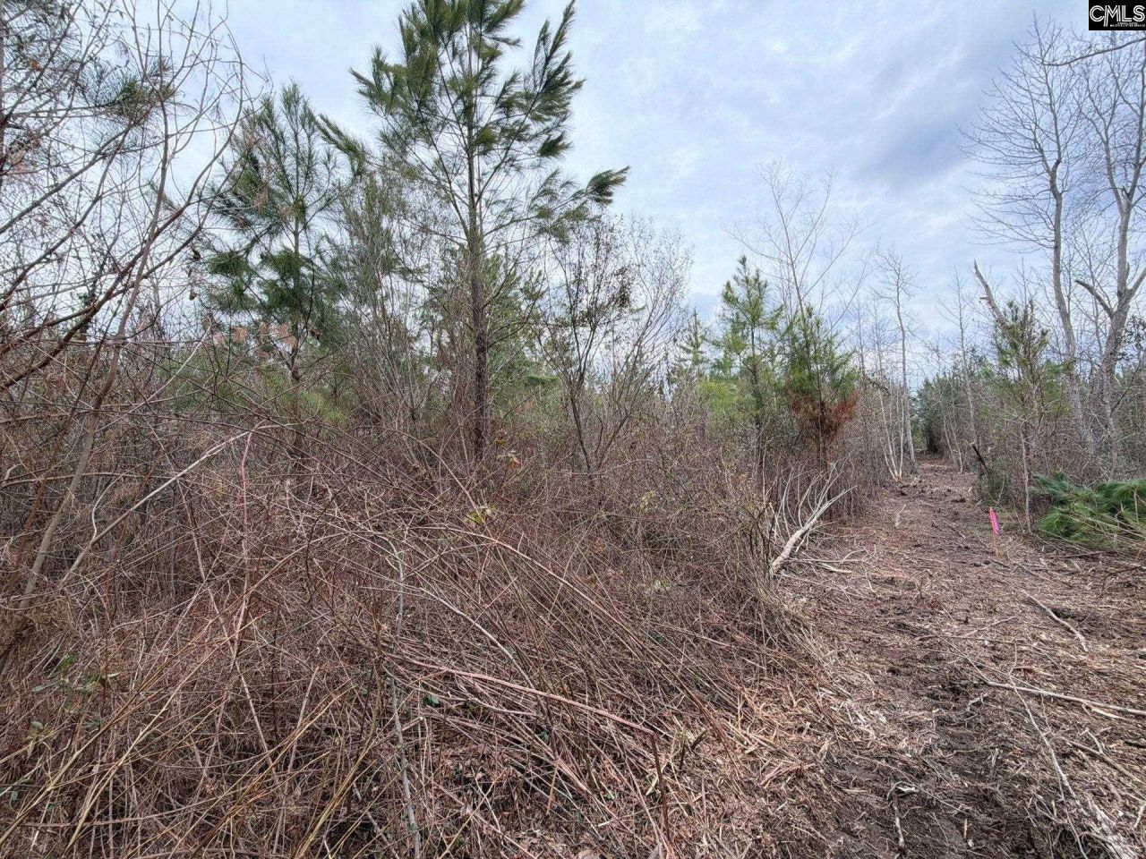 Bff II 4 Jc Barefoot Road Photo 22