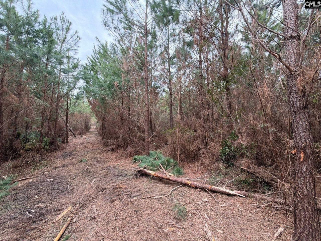 Bff II 4 Jc Barefoot Road Photo 23