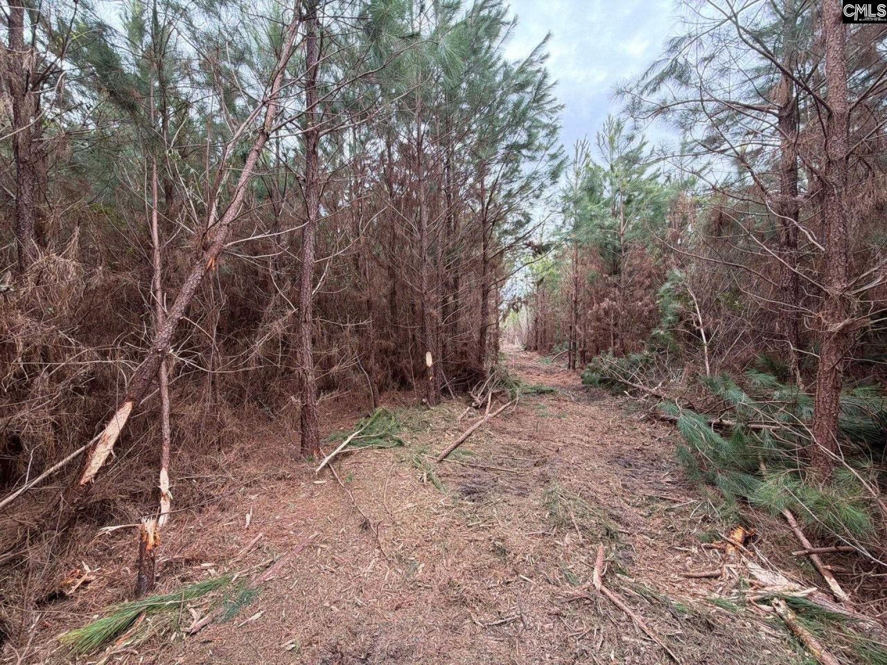 Bff II 4 Jc Barefoot Road Photo 24