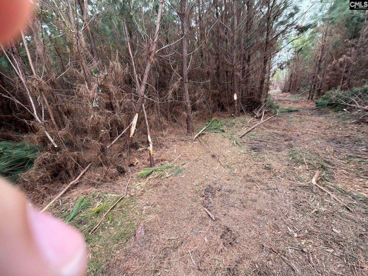 Bff II 4 Jc Barefoot Road Photo 25