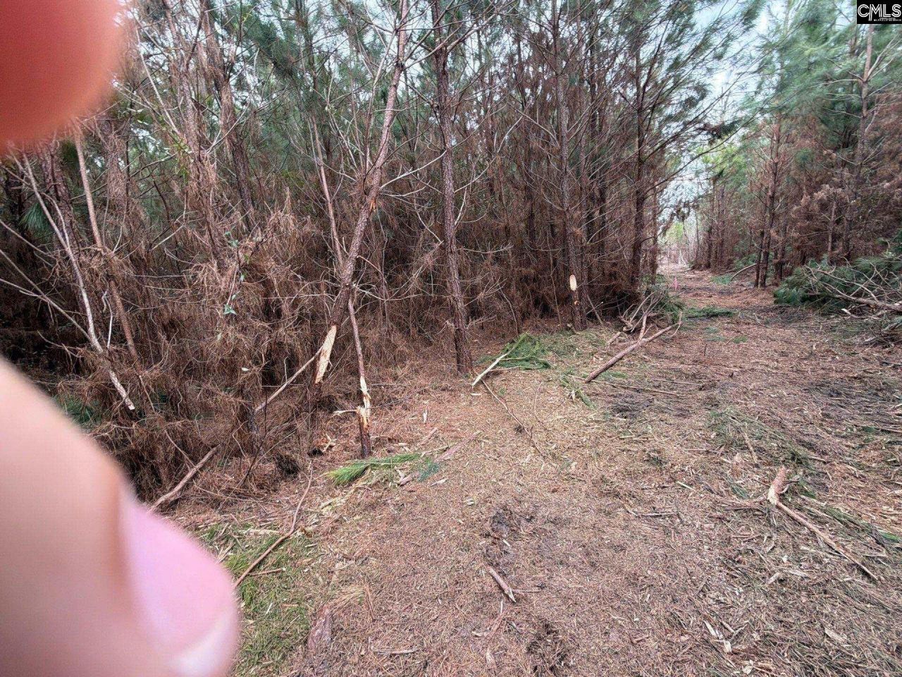 Bff II 4 Jc Barefoot Road Photo 26