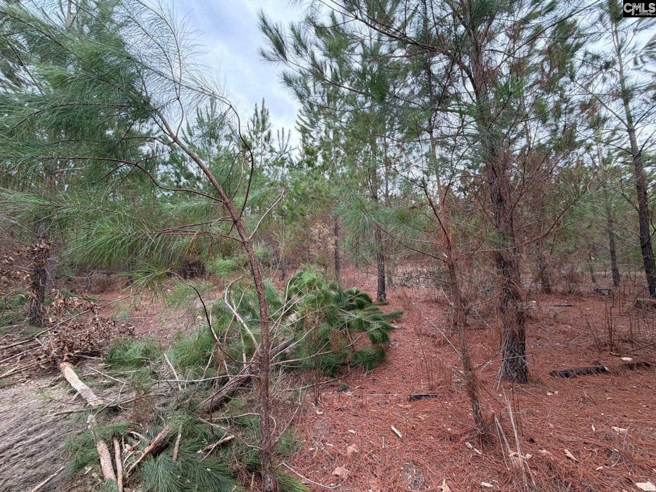 Bff II 4 Jc Barefoot Road Photo 27