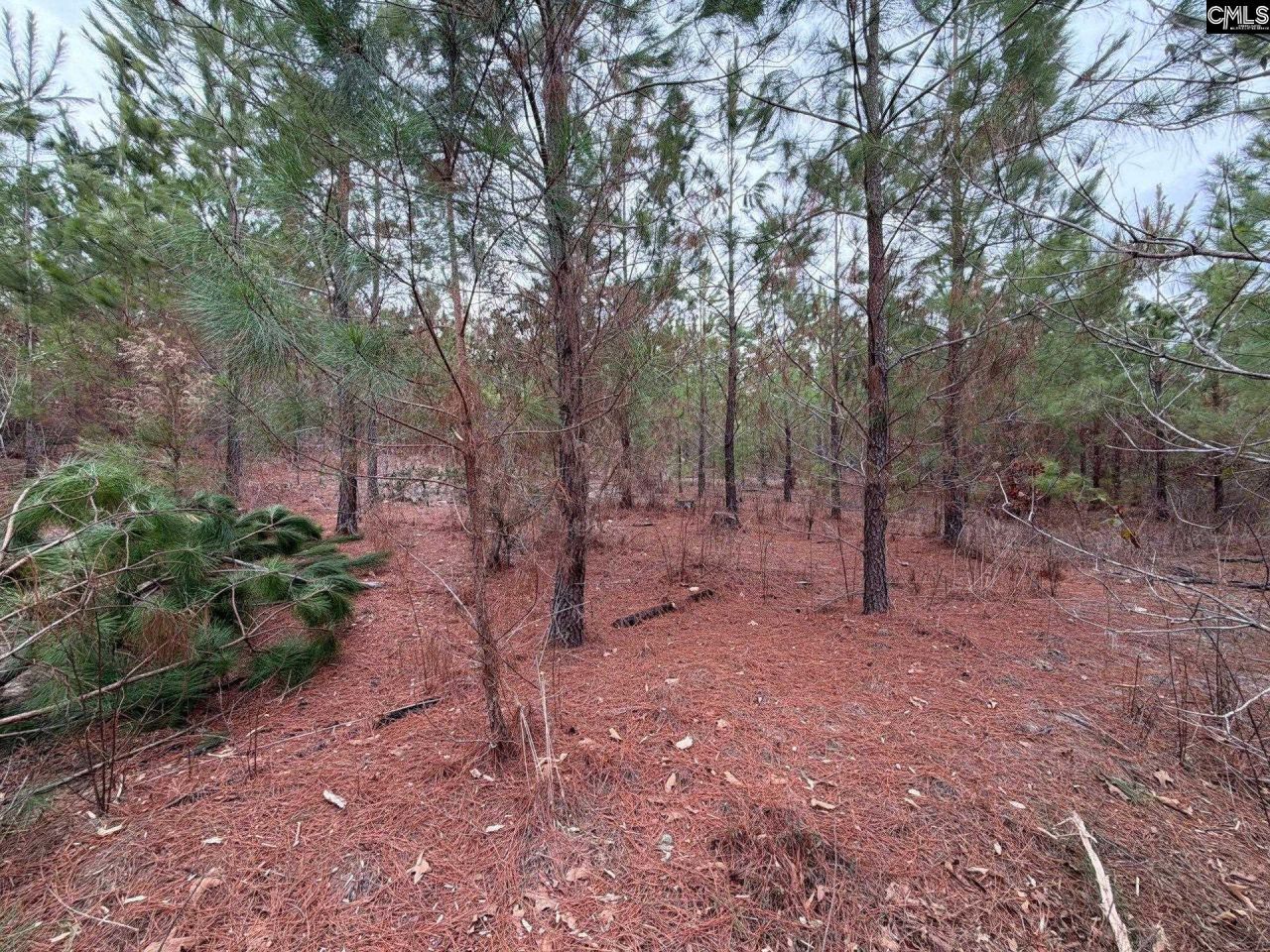 Bff II 4 Jc Barefoot Road Photo 28