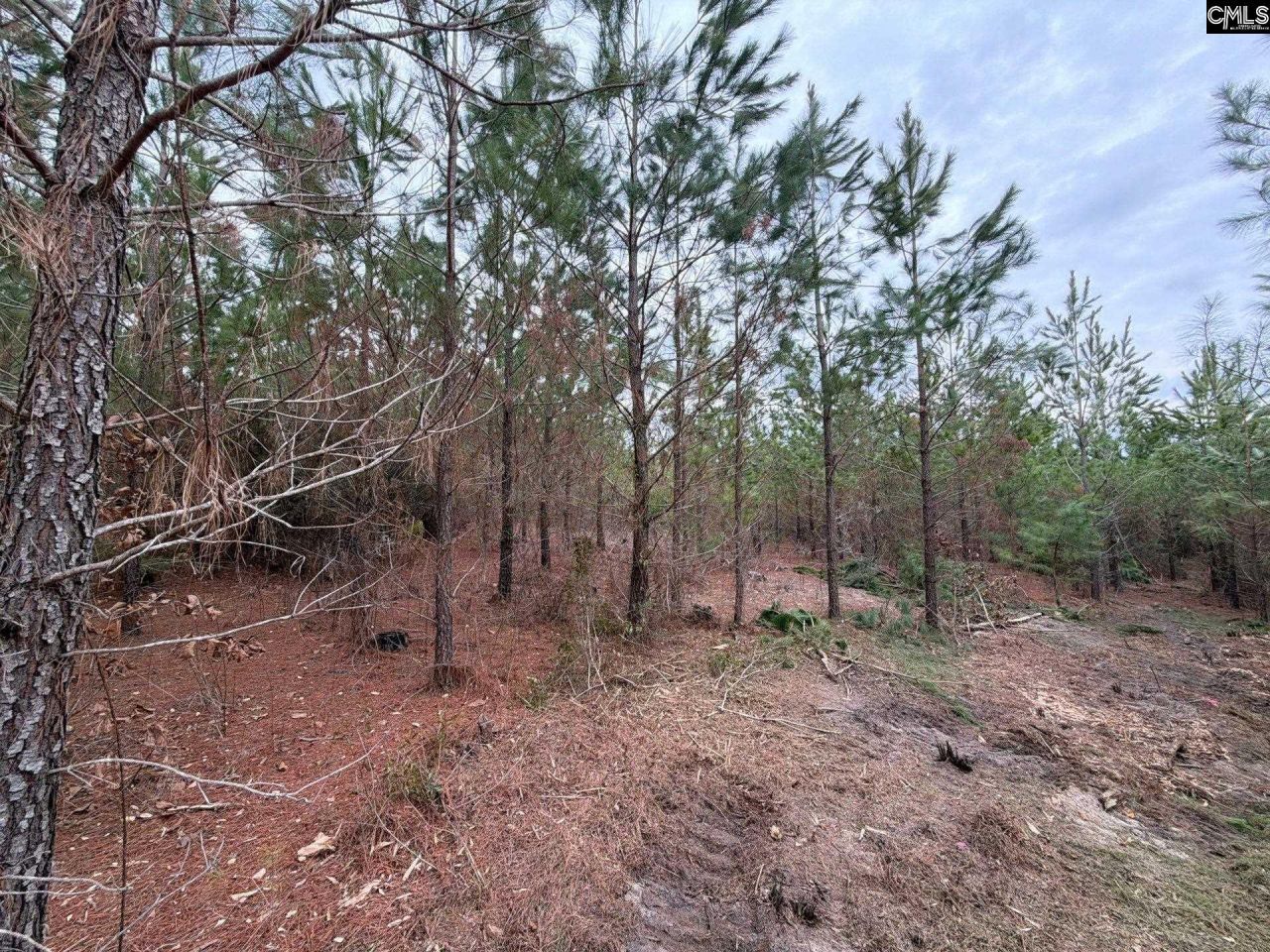 Bff II 4 Jc Barefoot Road Photo 29