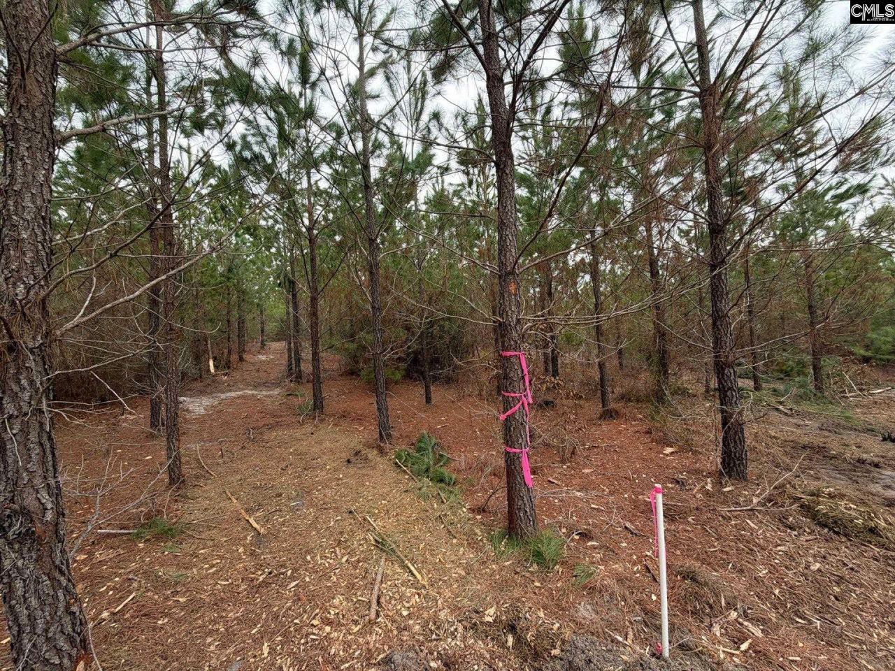 Bff II 4 Jc Barefoot Road Photo 30